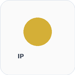 Intellectual Property icon